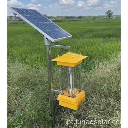 Luz de lanterna de insetos solares